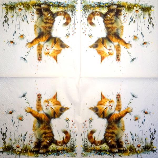 299 Katzen - 3-lagig